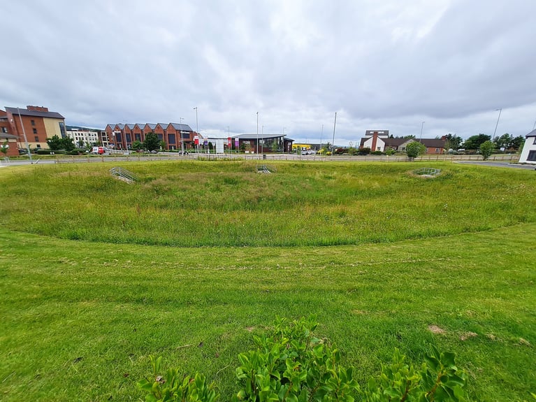 Transforming a challenging basin into a thriving green space