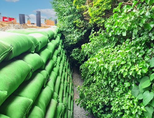 The Rootlok Vegetated Wall System-1 The Rootlok Vegetated Wall System-1