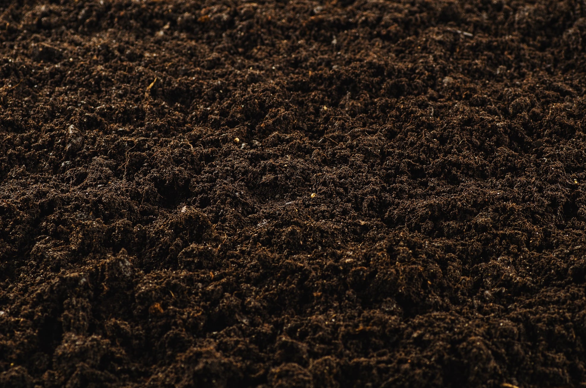 Organix-soil